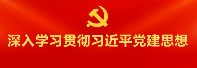 学习贯彻习近平党建思想